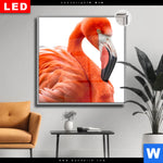 Leuchtbild Dia Rosa Flamingo Quadrat Produktvorschau mit dem Bild Rosa Flamingo im Format Quadrat.