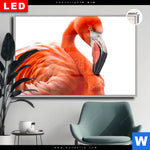 Leuchtbild Dia Rosa Flamingo Querformat Produktvorschau mit dem Bild Rosa Flamingo im Format Querformat.