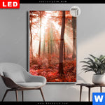 Leuchtbild Dia Roter Herbstwald Hochformat Produktvorschau mit dem Bild Roter Herbstwald im Format Hochformat.