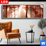 Leuchtbild Dia Roter Herbstwald Panorama Produktvorschau mit dem Bild Roter Herbstwald im Format Panorama.