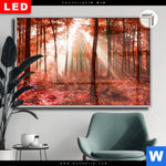Leuchtbild Dia Roter Herbstwald Querformat Produktvorschau mit dem Bild Roter Herbstwald im Format Querformat.