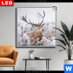 Leuchtbild Dia Rothirsch Im Winter Quadrat Produktvorschau mit dem Bild Rothirsch im Winter im Format Quadrat.