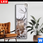 Leuchtbild Dia Rothirsch Im Winter Schmal Produktvorschau mit dem Bild Rothirsch im Winter im Format Schmal.
