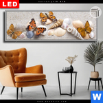 Leuchtbild Dia Schmetterlinge Muscheln Im Sand Panorama Produktvorschau mit dem Bild Schmetterlinge & Muscheln im Sand im Format Panorama.