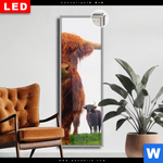 Leuchtbild Dia Schottisches Hochlandrind Schmal Produktvorschau mit dem Bild Schottisches Hochlandrind im Format Schmal.