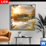 Leuchtbild Dia Schwan Im Teich Quadrat Produktvorschau mit dem Bild Schwan im Teich im Format Quadrat.