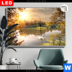 Leuchtbild Dia Schwan Im Teich Querformat Produktvorschau mit dem Bild Schwan im Teich im Format Querformat.