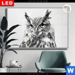 Leuchtbild Dia Schwarz Weiss Eulenportrait Querformat Produktvorschau mit dem Bild Schwarz-Weiß Eulenportrait im Format Querformat.