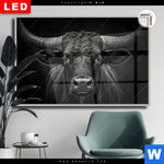 Leuchtbild Dia Schwarzer Bulle Querformat Produktvorschau mit dem Bild Schwarzer Bulle im Format Querformat.