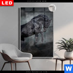 Leuchtbild Dia Schwarzer Hengst Hochformat Produktvorschau mit dem Bild Schwarzer Hengst im Format Hochformat.