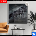 Leuchtbild Dia Schwarzer Hengst Quadrat Produktvorschau mit dem Bild Schwarzer Hengst im Format Quadrat.