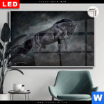 Leuchtbild Dia Schwarzer Hengst Querformat Produktvorschau mit dem Bild Schwarzer Hengst im Format Querformat.