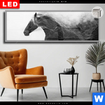 Leuchtbild Dia Schwarzes Pferd Voller Energie Panorama Produktvorschau mit dem Bild Schwarzes Pferd voller Energie im Format Panorama.