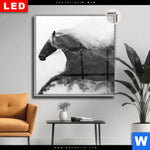 Leuchtbild Dia Schwarzes Pferd Voller Energie Quadrat Produktvorschau mit dem Bild Schwarzes Pferd voller Energie im Format Quadrat.