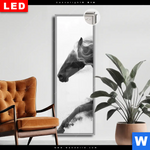Leuchtbild Dia Schwarzes Pferd Voller Energie Schmal Produktvorschau mit dem Bild Schwarzes Pferd voller Energie im Format Schmal.