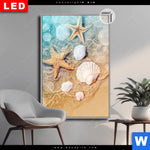 Leuchtbild Dia Seesterne Muscheln Hochformat Produktvorschau mit dem Bild Seesterne & Muscheln im Format Hochformat.