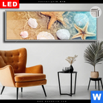 Leuchtbild Dia Seesterne Muscheln Panorama Produktvorschau mit dem Bild Seesterne & Muscheln im Format Panorama.