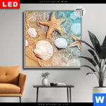 Leuchtbild Dia Seesterne Muscheln Quadrat Produktvorschau mit dem Bild Seesterne & Muscheln im Format Quadrat.