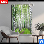 Leuchtbild Dia Sommerbirken Hochformat Produktvorschau mit dem Bild Sommerbirken im Format Hochformat.