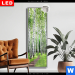 Leuchtbild Dia Sommerbirken Schmal Produktvorschau mit dem Bild Sommerbirken im Format Schmal.