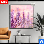 Leuchtbild Dia Sommeridylle Mit Lavendel Quadrat Produktvorschau mit dem Bild Sommeridylle mit Lavendel im Format Quadrat.
