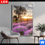 Leuchtbild Dia Sonnenaufgang Im Lavendelfeld Hochformat Produktvorschau mit dem Bild Sonnenaufgang im Lavendelfeld im Format Hochformat.