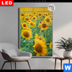 Leuchtbild Dia Sonnenblumenfeld Hochformat Produktvorschau mit dem Bild Sonnenblumenfeld im Format Hochformat.