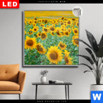 Leuchtbild Dia Sonnenblumenfeld Quadrat Produktvorschau mit dem Bild Sonnenblumenfeld im Format Quadrat.