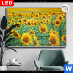 Leuchtbild Dia Sonnenblumenfeld Querformat Produktvorschau mit dem Bild Sonnenblumenfeld im Format Querformat.