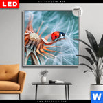 Leuchtbild Dia Sonnenkaefer Auf Pusteblume Quadrat Produktvorschau mit dem Bild Sonnenkäfer auf Pusteblume im Format Quadrat.