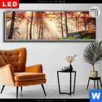 Leuchtbild Dia Sonnenlicht Im Nebligen Wald Panorama Produktvorschau mit dem Bild Sonnenlicht im nebligen Wald im Format Panorama.