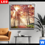 Leuchtbild Dia Sonnenlicht Im Nebligen Wald Quadrat Produktvorschau mit dem Bild Sonnenlicht im nebligen Wald im Format Quadrat.