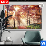 Leuchtbild Dia Sonnenlicht Im Nebligen Wald Querformat Produktvorschau mit dem Bild Sonnenlicht im nebligen Wald im Format Querformat.