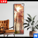 Leuchtbild Dia Sonnenlicht Im Nebligen Wald Schmal Produktvorschau mit dem Bild Sonnenlicht im nebligen Wald im Format Schmal.