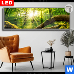 Leuchtbild Dia Sonnenstrahlen Im Dichten Wald Panorama Produktvorschau mit dem Bild Sonnenstrahlen im dichten Wald im Format Panorama.