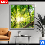 Leuchtbild Dia Sonnenstrahlen Im Dichten Wald Quadrat Produktvorschau mit dem Bild Sonnenstrahlen im dichten Wald im Format Quadrat.