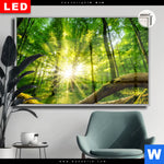 Leuchtbild Dia Sonnenstrahlen Im Dichten Wald Querformat Produktvorschau mit dem Bild Sonnenstrahlen im dichten Wald im Format Querformat.
