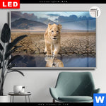 Leuchtbild Dia Spiegelbild Loewe Loewenjunges Querformat Produktvorschau mit dem Bild Spiegelbild Löwe & Löwenjunges im Format Querformat.