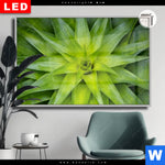 Leuchtbild Dia Spitze Agavenblaetter Querformat Produktvorschau mit dem Bild Spitze Agavenblätter im Format Querformat.