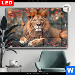 Leuchtbild Dia Stolzer Blick Des Loewen Querformat Produktvorschau mit dem Bild Stolzer Blick des Löwen im Format Querformat.