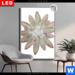 Leuchtbild Dia Sukkulente No 1 Hochformat Produktvorschau mit dem Bild Sukkulente No.1 im Format Hochformat.