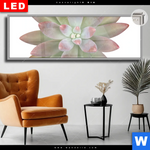 Leuchtbild Dia Sukkulente No 1 Panorama Produktvorschau mit dem Bild Sukkulente No.1 im Format Panorama.