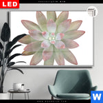 Leuchtbild Dia Sukkulente No 1 Querformat Produktvorschau mit dem Bild Sukkulente No.1 im Format Querformat.