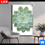 Leuchtbild Dia Sukkulente No 2 Hochformat Produktvorschau mit dem Bild Sukkulente No.2 im Format Hochformat.