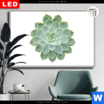 Leuchtbild Dia Sukkulente No 2 Querformat Produktvorschau mit dem Bild Sukkulente No.2 im Format Querformat.