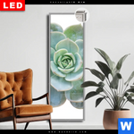 Leuchtbild Dia Sukkulente No 3 Schmal Produktvorschau mit dem Bild Sukkulente No.3 im Format Schmal.