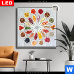 Leuchtbild Dia Superfoods Im Farbkreis Quadrat Produktvorschau mit dem Bild Superfoods im Farbkreis im Format Quadrat.