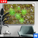 Leuchtbild Dia Tautropfen Auf Moos Querformat Produktvorschau mit dem Bild Tautropfen auf Moos im Format Querformat.