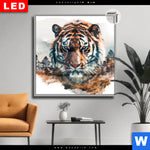 Leuchtbild Dia Tiger Staerke Und Natur Quadrat Produktvorschau mit dem Bild Tiger - Stärke und Natur im Format Quadrat.
