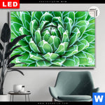 Leuchtbild Dia Tropische Pflanze Querformat Produktvorschau mit dem Bild Tropische Pflanze im Format Querformat.